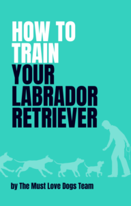 How to Train Your Labrador Retriever