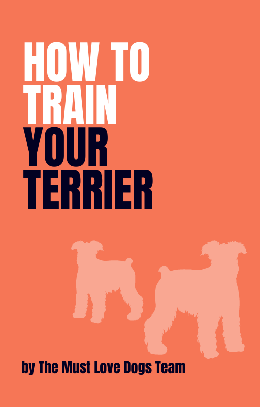 How to Train Your Terrier