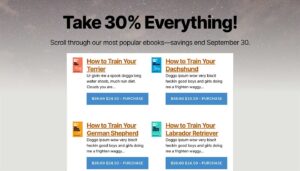 Sitewide Sale Demo for Easy Digital Downloads Scroll Template